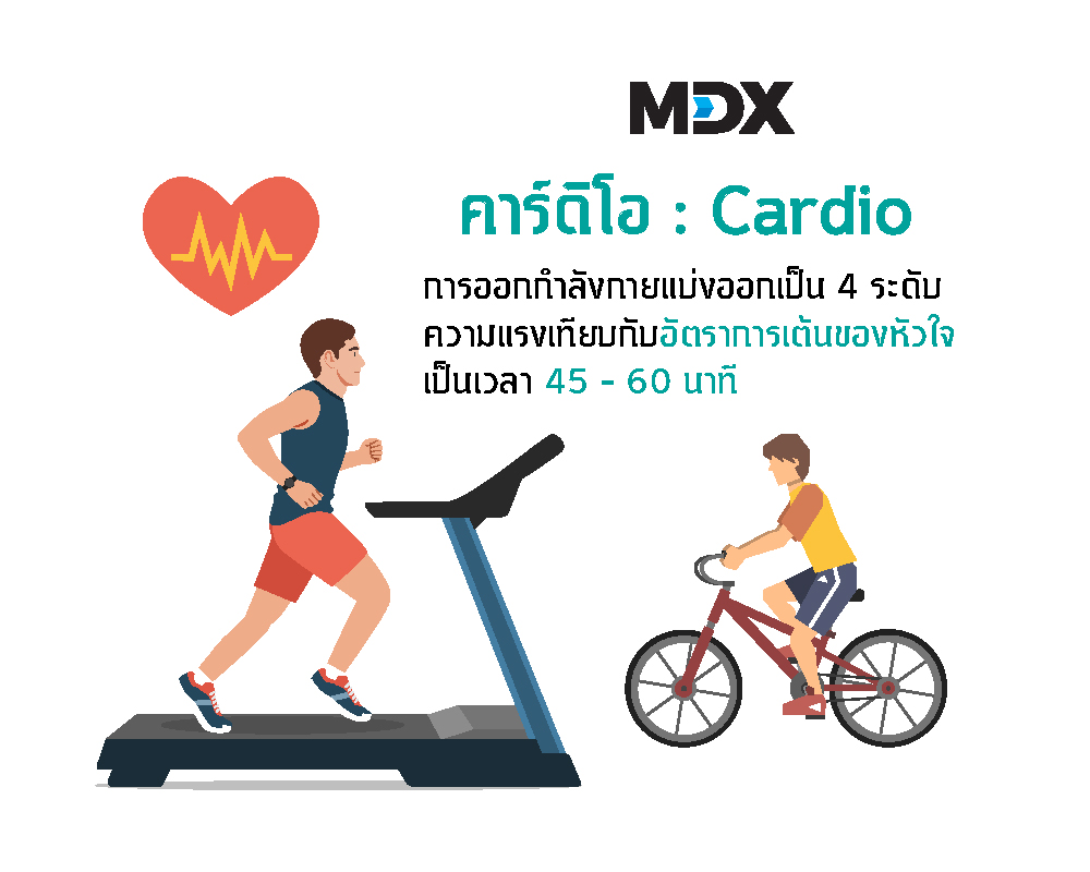 จะ Cardio หรือ Weight Training ก่อนดีนะ??? - Mdx | Men Daily Xpert :  เราเข้าใจผู้ชาย