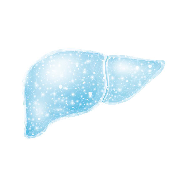 อาหารตับอ่อนดิจิทัลสำหรับสุขภาพผู้ชาย ช่วยเสริมสร้างพลังงานและความแข็งแรงของร่างกายด้วยเทคโนโลยีล้ำสมัยและส่วนผสมคุณภาพสูง.